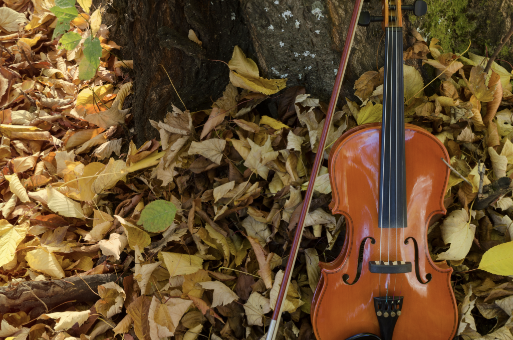 Violin Lessons for Adults