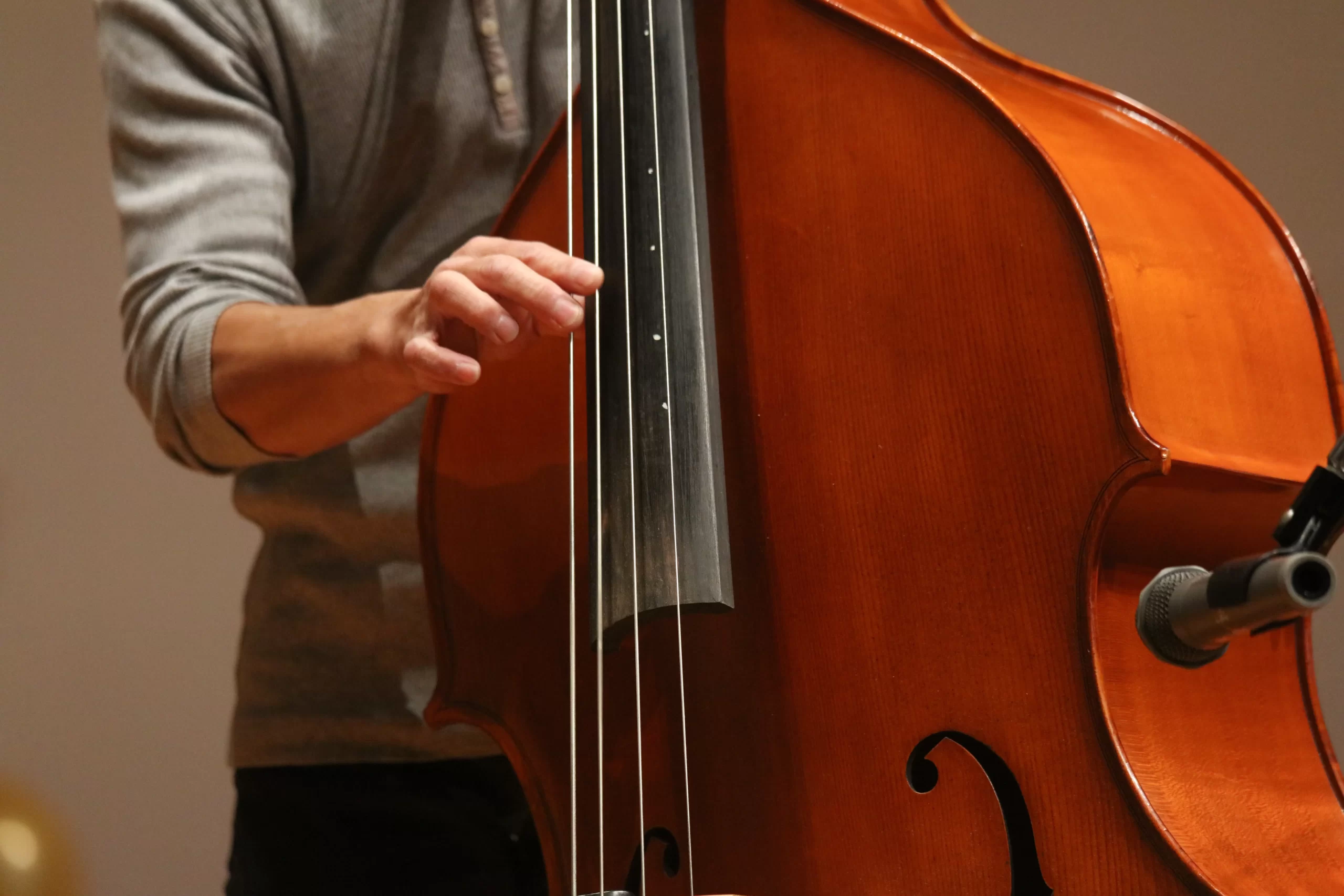 upright bass lessons Grosse Pointe MI student playing double bass